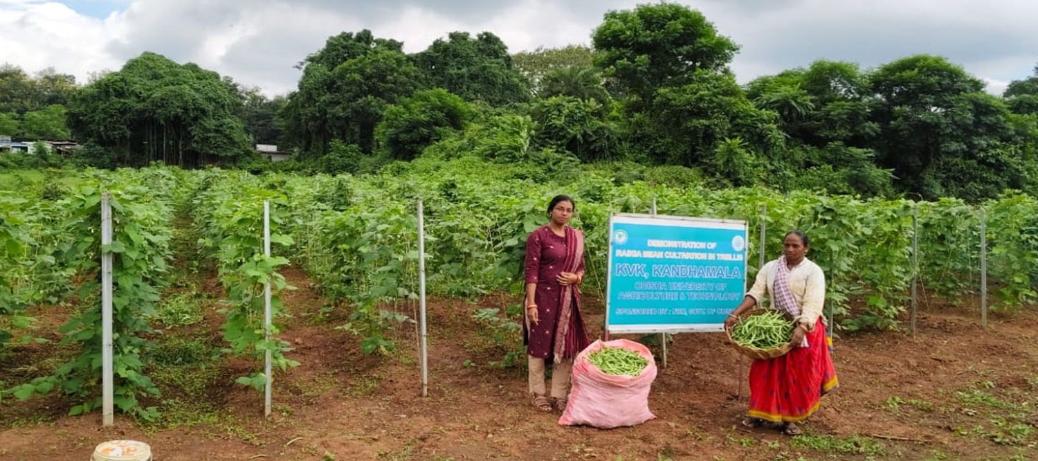Krishi Vigyan Kendra, Kandhamal